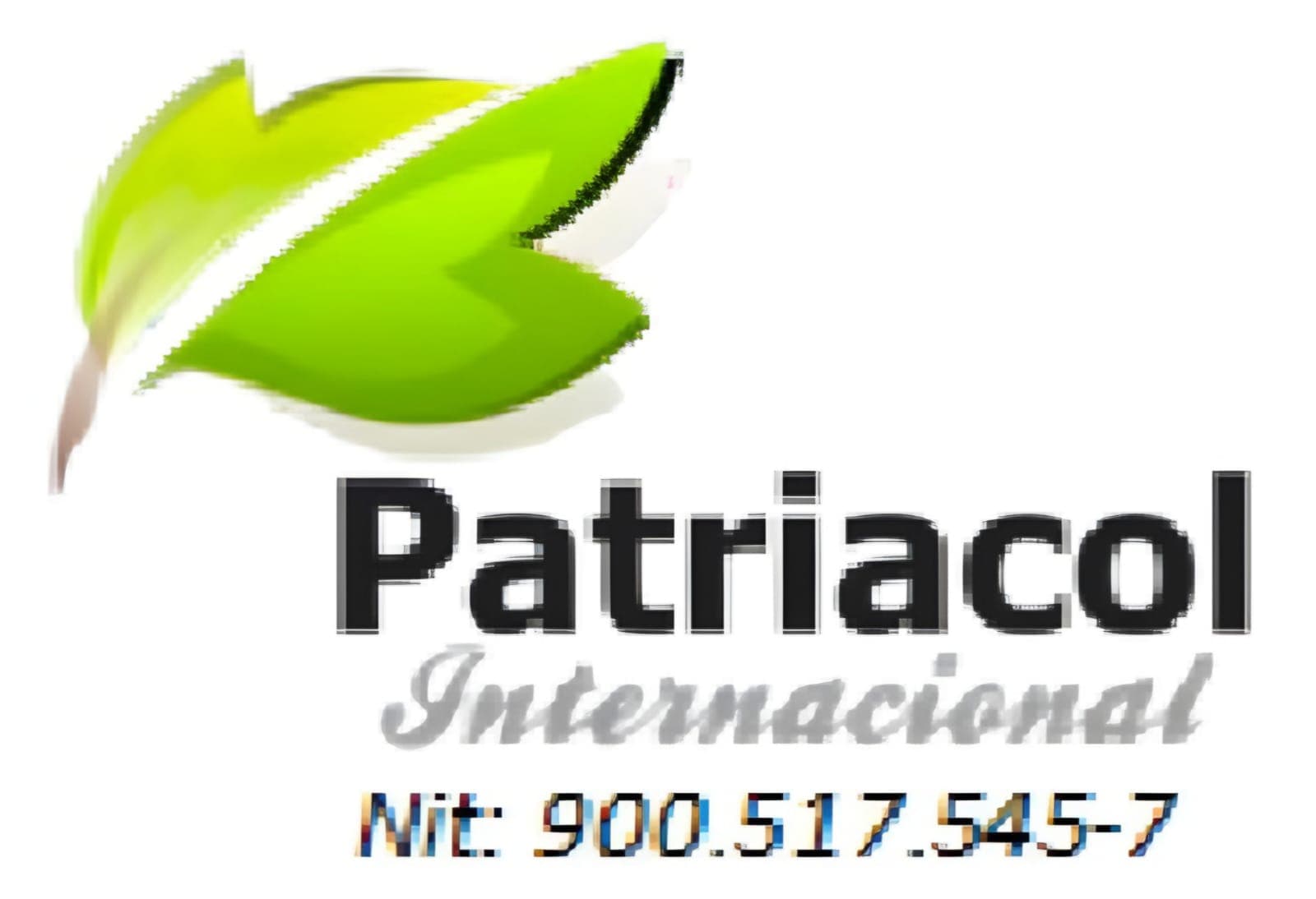 Colaborador 7